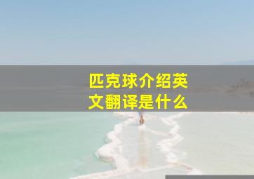 匹克球介绍英文翻译是什么