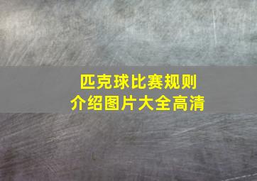 匹克球比赛规则介绍图片大全高清