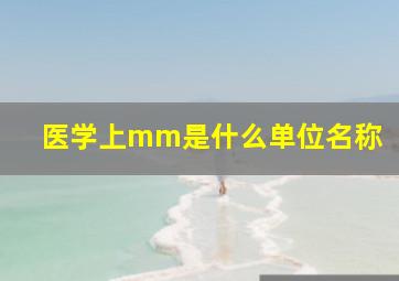 医学上mm是什么单位名称