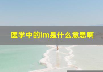 医学中的im是什么意思啊