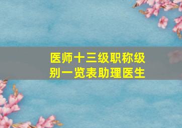 医师十三级职称级别一览表助理医生