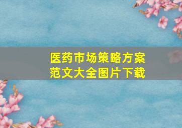 医药市场策略方案范文大全图片下载