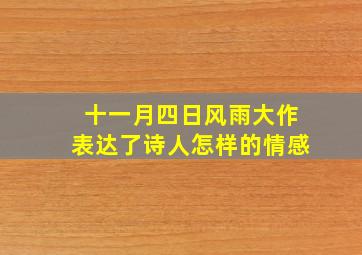 十一月四日风雨大作表达了诗人怎样的情感