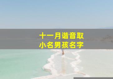 十一月谐音取小名男孩名字