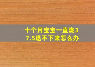 十个月宝宝一直烧37.5退不下来怎么办