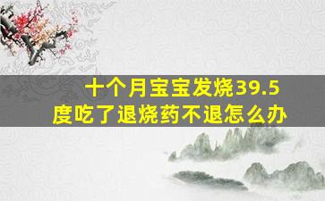 十个月宝宝发烧39.5度吃了退烧药不退怎么办