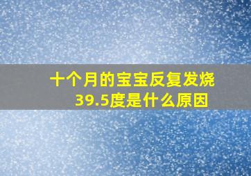 十个月的宝宝反复发烧39.5度是什么原因