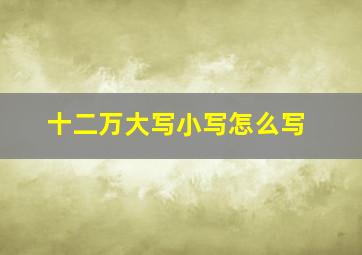 十二万大写小写怎么写