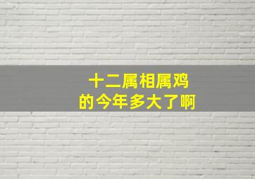 十二属相属鸡的今年多大了啊