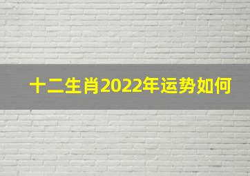 十二生肖2022年运势如何