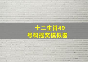 十二生肖49号码摇奖模拟器