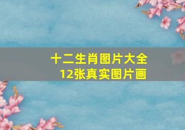 十二生肖图片大全12张真实图片画