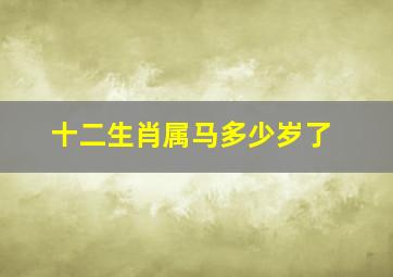 十二生肖属马多少岁了