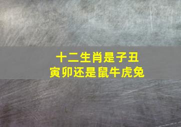 十二生肖是子丑寅卯还是鼠牛虎兔