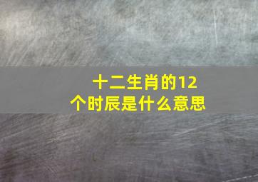 十二生肖的12个时辰是什么意思