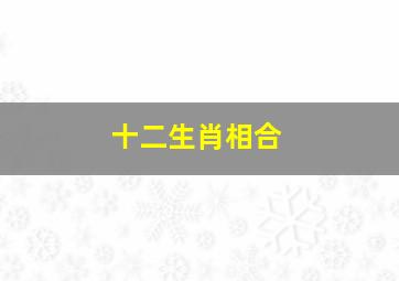 十二生肖相合