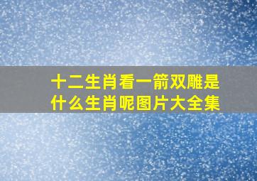 十二生肖看一箭双雕是什么生肖呢图片大全集