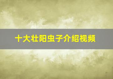 十大壮阳虫子介绍视频