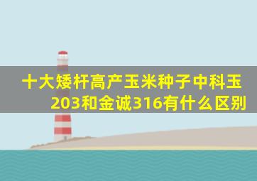 十大矮杆高产玉米种子中科玉203和金诚316有什么区别