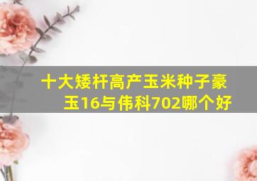 十大矮杆高产玉米种子豪玉16与伟科702哪个好