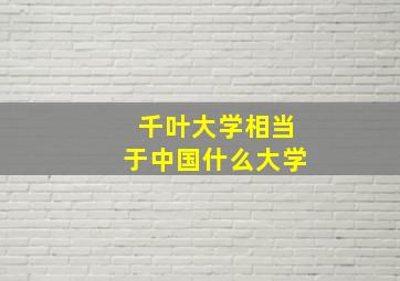 千叶大学相当于中国什么大学