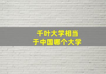 千叶大学相当于中国哪个大学