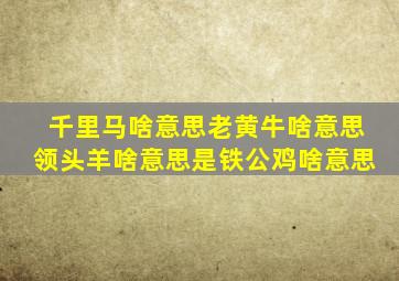 千里马啥意思老黄牛啥意思领头羊啥意思是铁公鸡啥意思