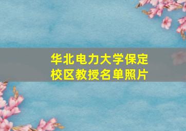 华北电力大学保定校区教授名单照片