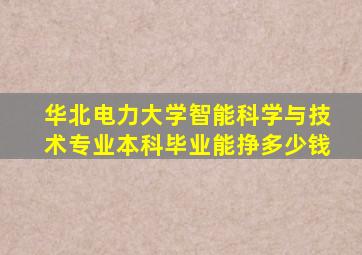 华北电力大学智能科学与技术专业本科毕业能挣多少钱