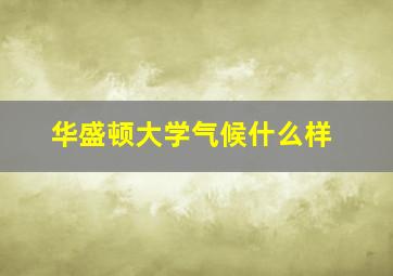 华盛顿大学气候什么样