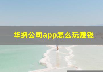 华纳公司app怎么玩赚钱