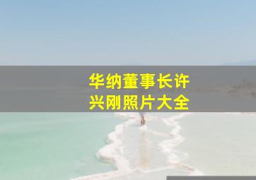 华纳董事长许兴刚照片大全