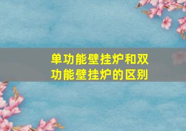 单功能壁挂炉和双功能壁挂炉的区别