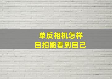 单反相机怎样自拍能看到自己