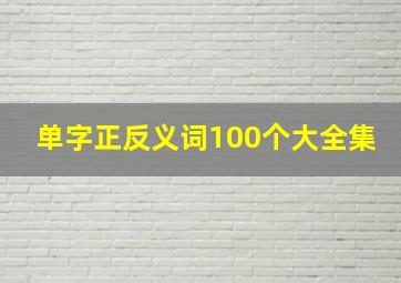 单字正反义词100个大全集