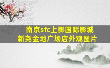 南京sfc上影国际影城新尧金地广场店外观图片