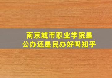 南京城市职业学院是公办还是民办好吗知乎