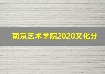 南京艺术学院2020文化分