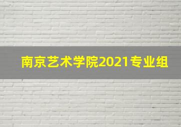 南京艺术学院2021专业组