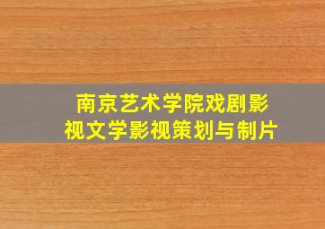 南京艺术学院戏剧影视文学影视策划与制片