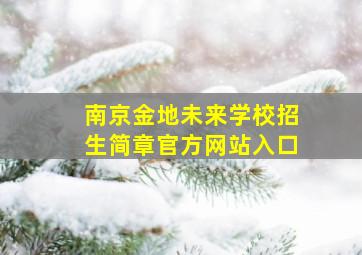 南京金地未来学校招生简章官方网站入口