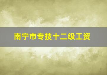 南宁市专技十二级工资