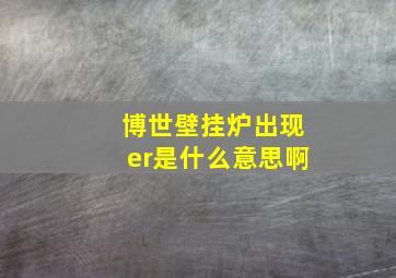 博世壁挂炉出现er是什么意思啊