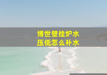 博世壁挂炉水压低怎么补水