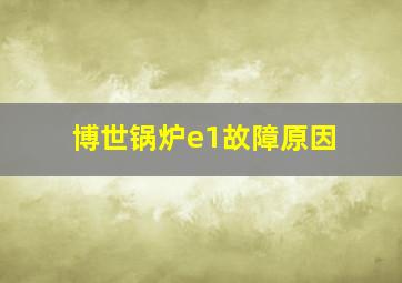 博世锅炉e1故障原因