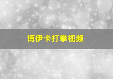 博伊卡打拳视频