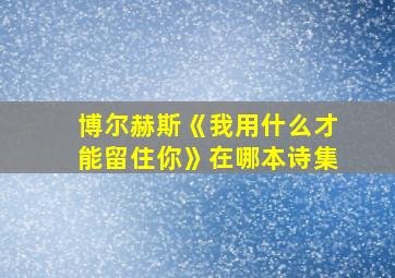 博尔赫斯《我用什么才能留住你》在哪本诗集