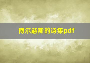 博尔赫斯的诗集pdf