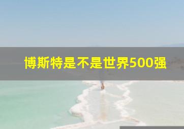 博斯特是不是世界500强