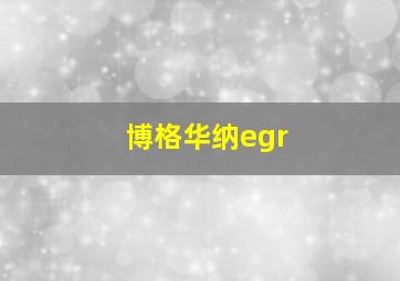 博格华纳egr